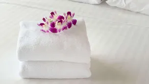 M Star Hotel Covington - Image 3