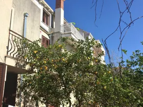 Apartments Ivanka - Image 4