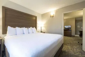 Country Inn & Suites by Radisson Asheville Downtown Tunnel Road - Image 5
