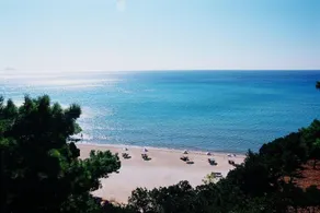 Golden Sand - Image 4
