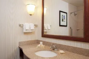 Hilton Garden Inn St.Paul/Oakdale - Image 4