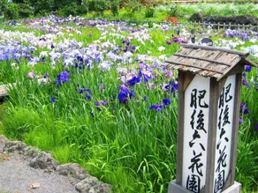 Aso No Tsukasa Villa Park Hotel & Resort - Image 5