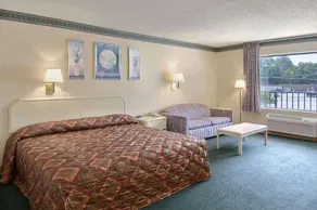 Palmetto Inn & Suites - Image 3