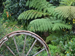 Coromandel Colonial Cottages Motel - Image 3