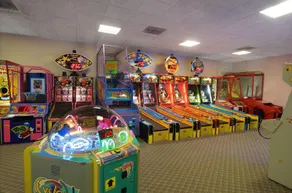 Polynesian Wisconsin Dells Hotel - Image 4