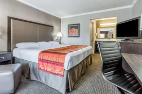 Super 8 By Wyndham Mountain View - Image 3