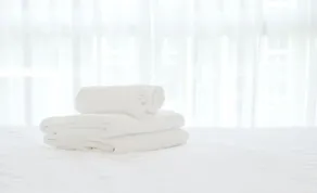Narita View Hotel - Image 2