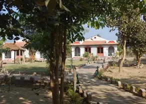 Mogli Resorts - Image 5