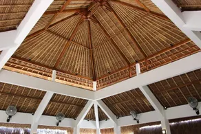 Coco Cabana - Image 3