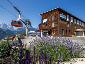Das Hotel Panorama - Image 3