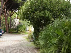 Verde Pineta Residence - Image 3