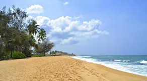 Suwaya Villa - Image 2