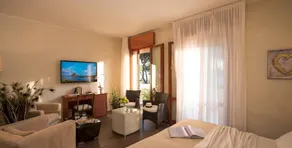 Hotel Negresco - Image 3