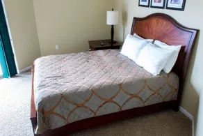 Delton Grand Resort & Spa - Image 4
