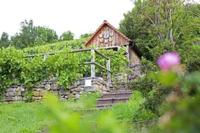 Lamm Hebsack - Image 4