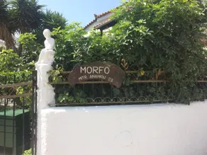 Pettite Morfo - Image 3