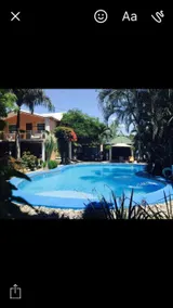 Palm Inn Hotel - Image 3