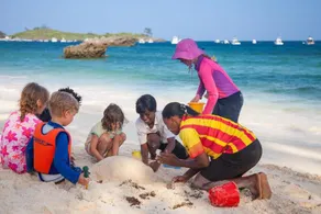 Turtle Bay - Image 3