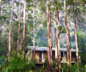 RAC Karri Valley Resort - Image 3