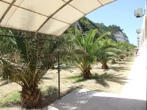 Villaggio Hotel Ripa - Image 2