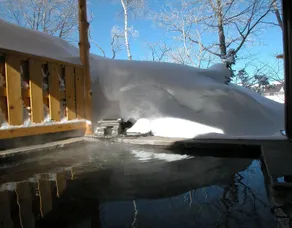 Hotel Shirakabaso - Image 5