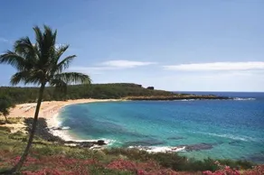 Hotel Lanai - Image 5