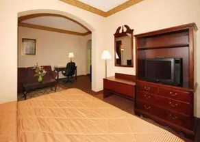 Comfort Inn (Tarboro) - Image 3