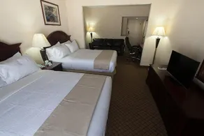 Holiday Inn Hotel and Suites Huntington Civic Aren - Image 3