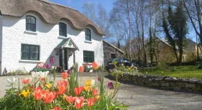 Lissyclearig Thatched Cottage - Image 4