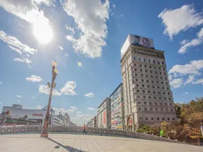 Landmark Hotel Suwon Suwon - Image 5