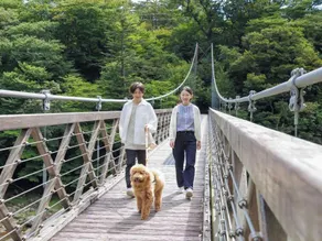 Kamenoi Hotel Shiobara - Image 5