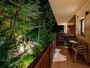 Hotel Regal Sinaia - Image 2