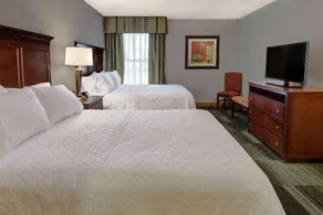 Hampton Inn & Suites Pigeon Forge On The Parkway - Image 2