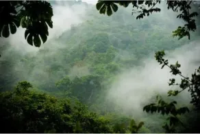 Reserva Natural FAUNAL - Minca - Image 5