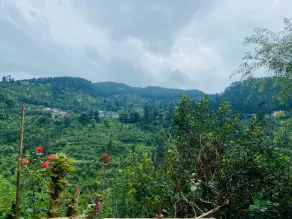 Airy Kasol - Image 3