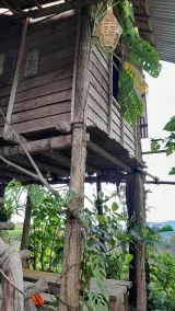 Harumi Dieng Homestay Syariah - Image 3