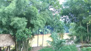 Green Hope Lodge - Image 3