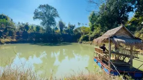 The Lion Park - Image 3