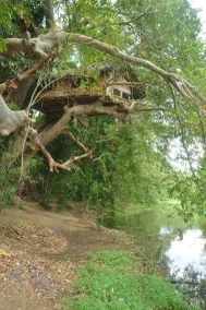 Yala Shenu Safari Tourist Inn - Image 2