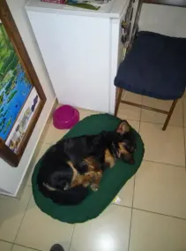 Hostel Indigo - Image 5