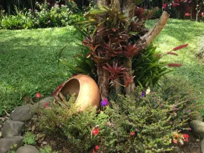 Casa Hostal La Iguana - Image 5