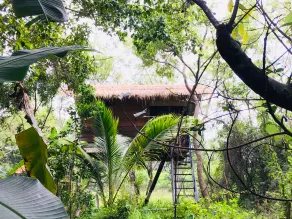 Tree House Hostel Sigiriya - Image 4