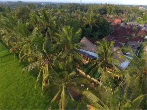 Luxury Bamboo Hostel - Image 2