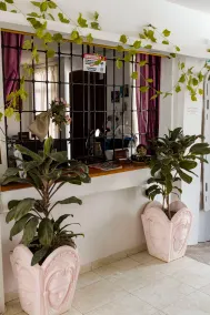 Maria's House - Image 3