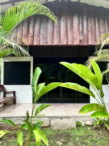 Green House Cocles - Image 5
