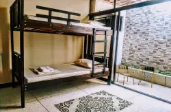 Stray Cat Hostel - Image 5