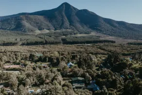 Storms River Forest Lodge - Image 3