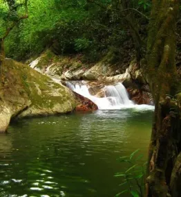 Reserva Natural FAUNAL - Minca - Image 3