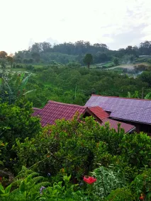 Gintribu Guest House Sibayak - Image 4