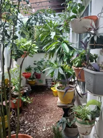 La Casa de Olga - Image 2